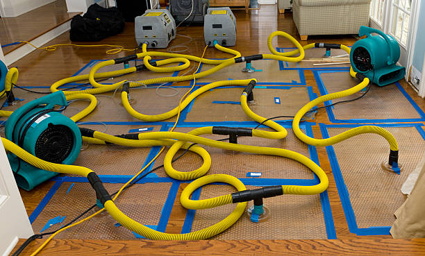 Professional Storm Water Damage Restoration technician working in Custer, WA